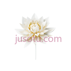 纸艺,菊花,折纸PNG