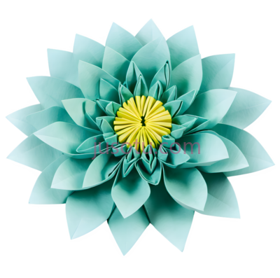 菊花,折纸,折痕, PNG