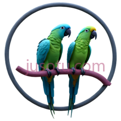 鹦鹉,卡通,绿色, 蓝色PNG