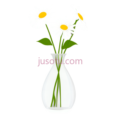 花瓶,雏菊, PNG