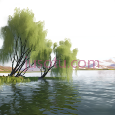 湖泊,大柳树,轻风PNG