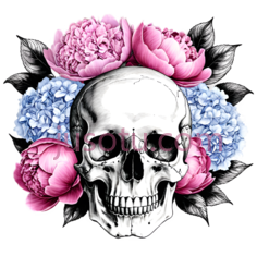 骷髅,插画,白色,粉色,蓝色PNG