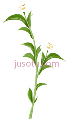 芝麻花PNG
