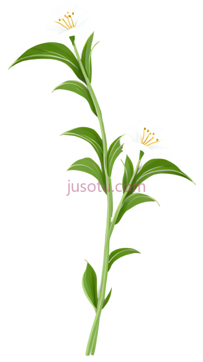 芝麻花, PNG