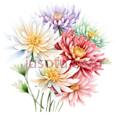 菊花花瓣PNG