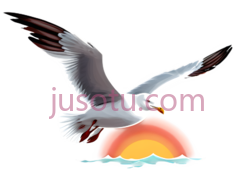 海鸥,卡通,白色PNG