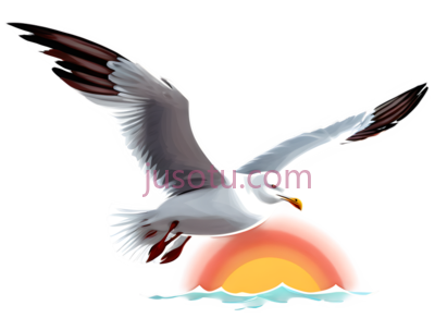 海鸥,卡通,白色, PNG