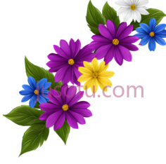 花朵,插画,白色,紫色,蓝色,黄色PNG