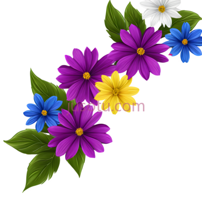 花朵,插画,白色,紫色,蓝色,黄色, PNG