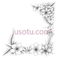 花朵,线条画,白色PNG