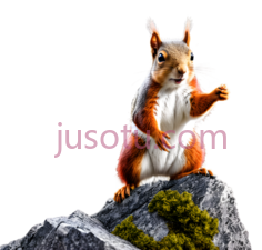 松鼠,卡通,橙色,白色PNG