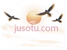 鸟,飞翔,白色PNG