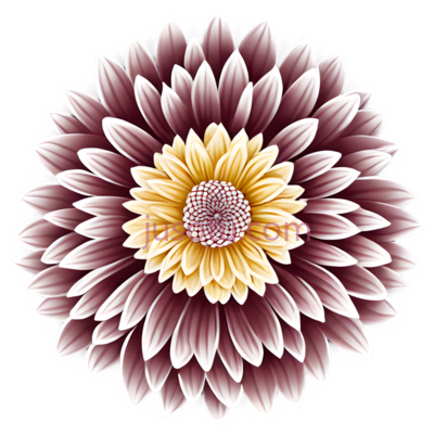 花,对称,紫色,黄色, PNG