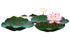池塘,荷花PNG