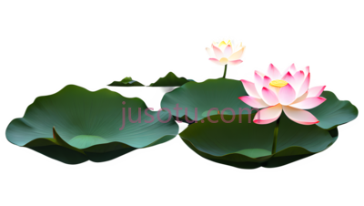 池塘,荷花, PNG
