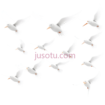 鸟,飞翔,白色, PNG