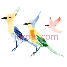 鸟, PNG