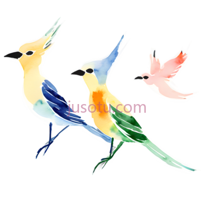 鸟, PNG