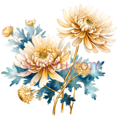 菊花,金箔PNG