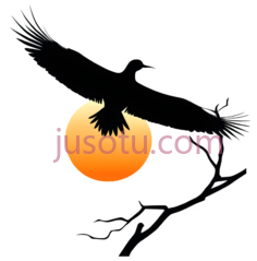 太阳,剪影,黄色PNG