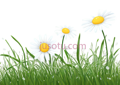 草地,雏菊, PNG