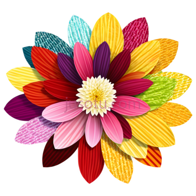 菊花,花瓣, PNG