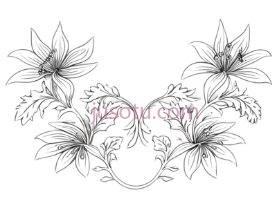 花卉图案,线条,白色,粉色, PNG