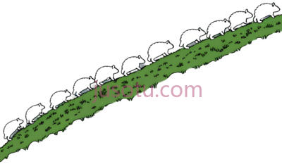 羊,卡通,白色, PNG