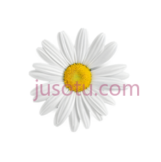 雏菊, PNG