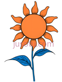 太阳花, PNG