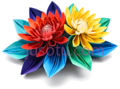 菊花,折纸,折痕PNG