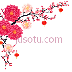 牡丹,梅花,中国风,粉色,白色PNG