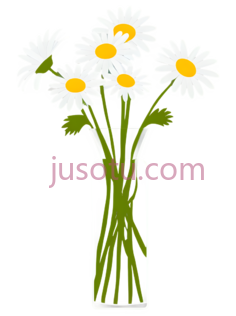 雏菊花, PNG
