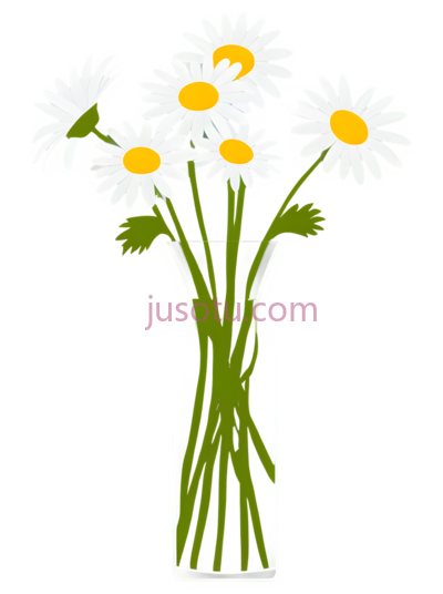 雏菊花, PNG