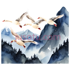 大雁,水墨画,白色PNG