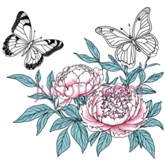 蝴蝶,花朵,插画,白色,粉色,绿色PNG