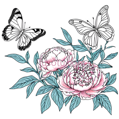 蝴蝶,花朵,插画,白色,粉色,绿色, PNG