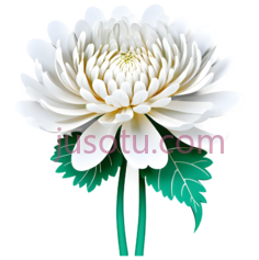 花,剪纸,白色PNG