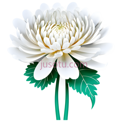 花,剪纸,白色, PNG