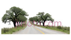 道路,自然风光,灰色PNG
