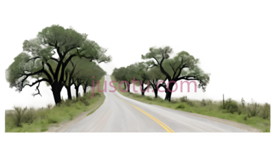 道路,自然风光,灰色, PNG