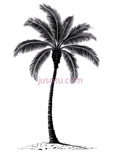 棕榈树,海滩, PNG