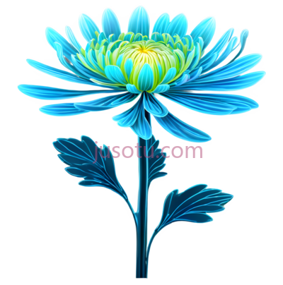菊花,花瓣, PNG