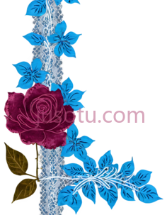 玫瑰,蕾丝,花卉图案,精致蕾丝,红色,蓝色,白色PNG