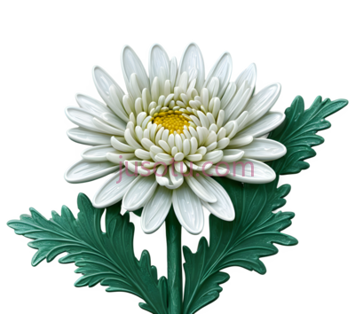 菊花,插画,白色, 绿色, PNG