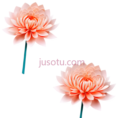 菊花,折纸, PNG