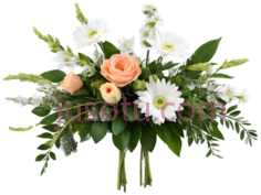 花卉插花, PNG