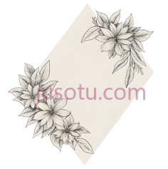 花朵,线条画,黑白PNG