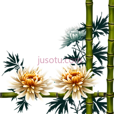 菊花,竹栅栏, PNG