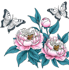 牡丹,蝴蝶PNG